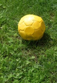 ball2